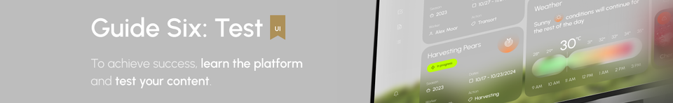 Guide Six: Test